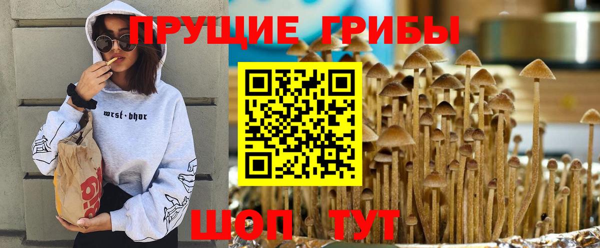 Алатырь  Галлюциногенные грибы Psilocybe  Псилоцибиновые грибы ЛСД  Вход с VPN 